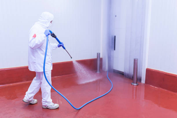 Trusted Holyoke, CO Pressure Washing Services Experts